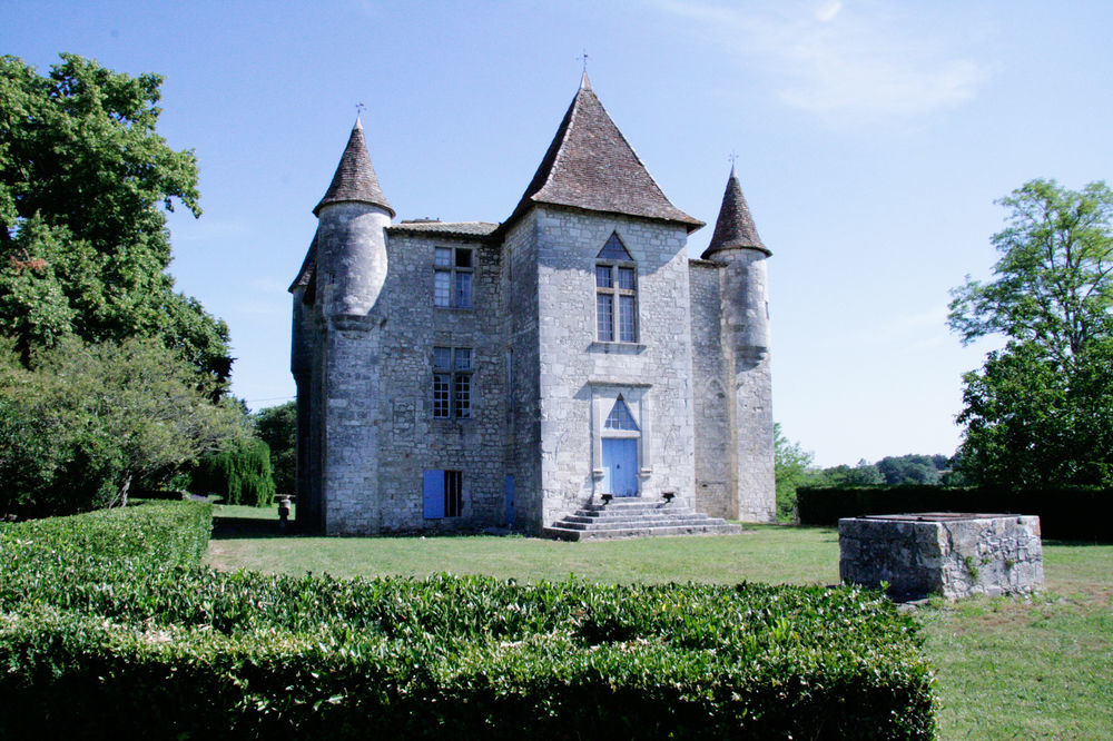 Gites Du Chateau De Panisseau Thénac Exteriör bild